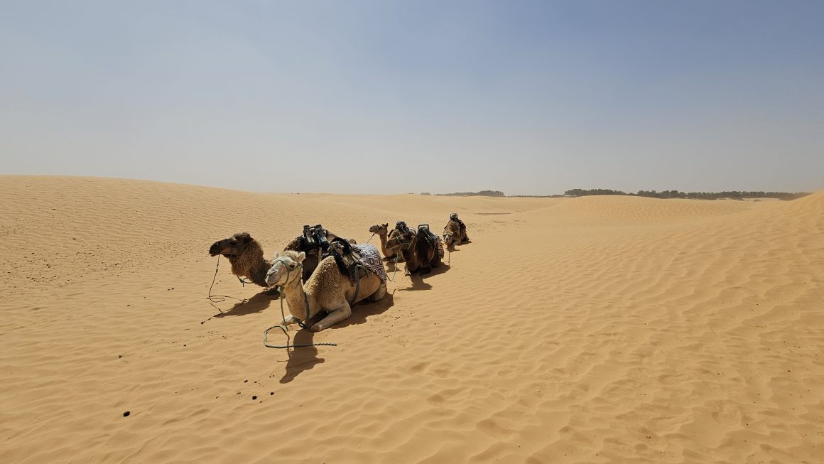 Djerba